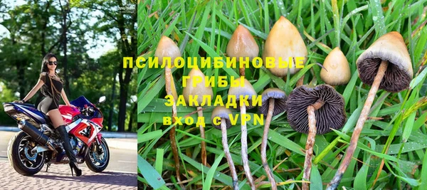 стаф Тихвин