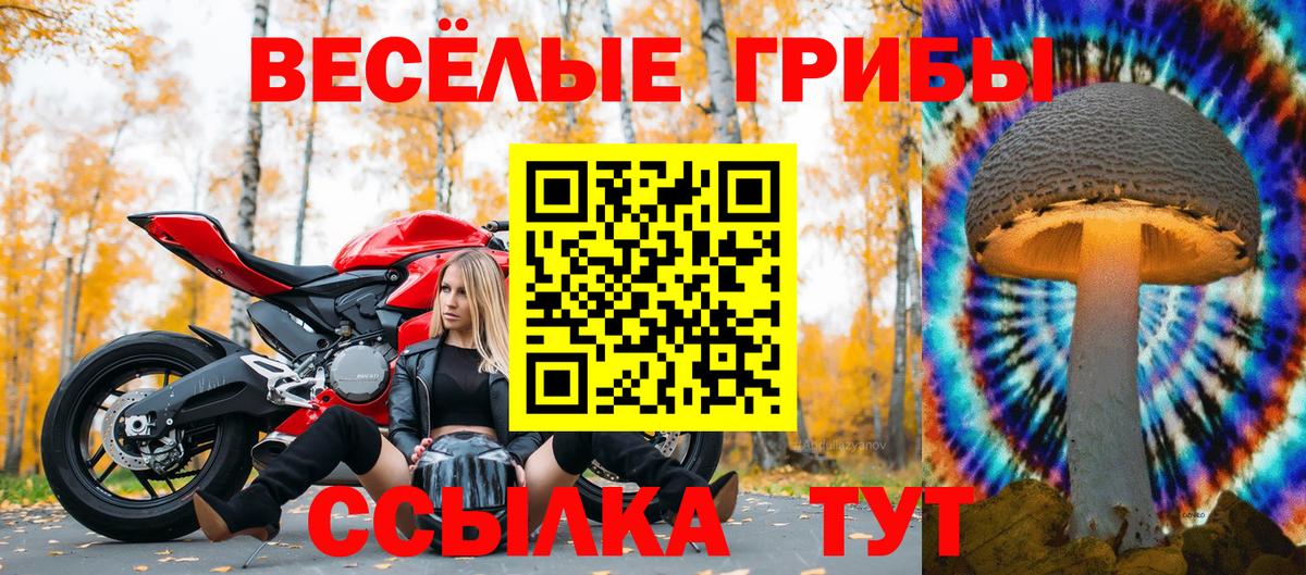 Свободный  Галлюциногенные грибы Magic Shrooms  Вход с VPN 