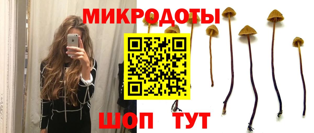 Псилоцибиновые грибы Cubensis Свободный